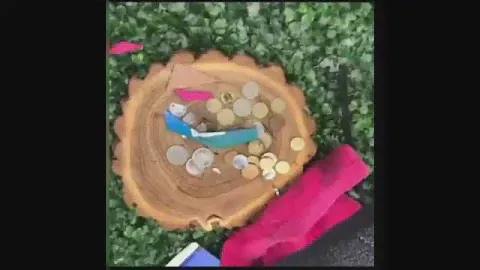Чудо ножницы