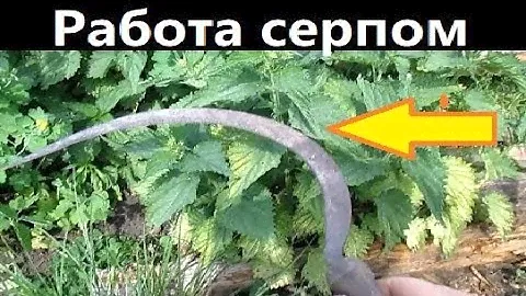 Как косить серпом. Кошу траву серпом. Работа серпом