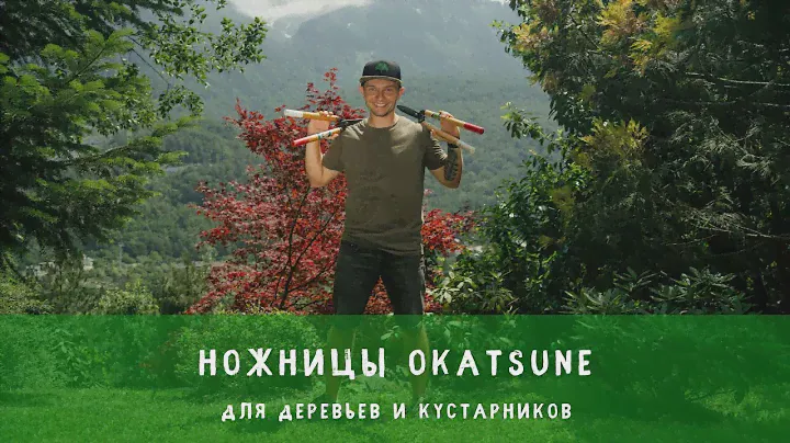Ножницы для кустарников Okatsune